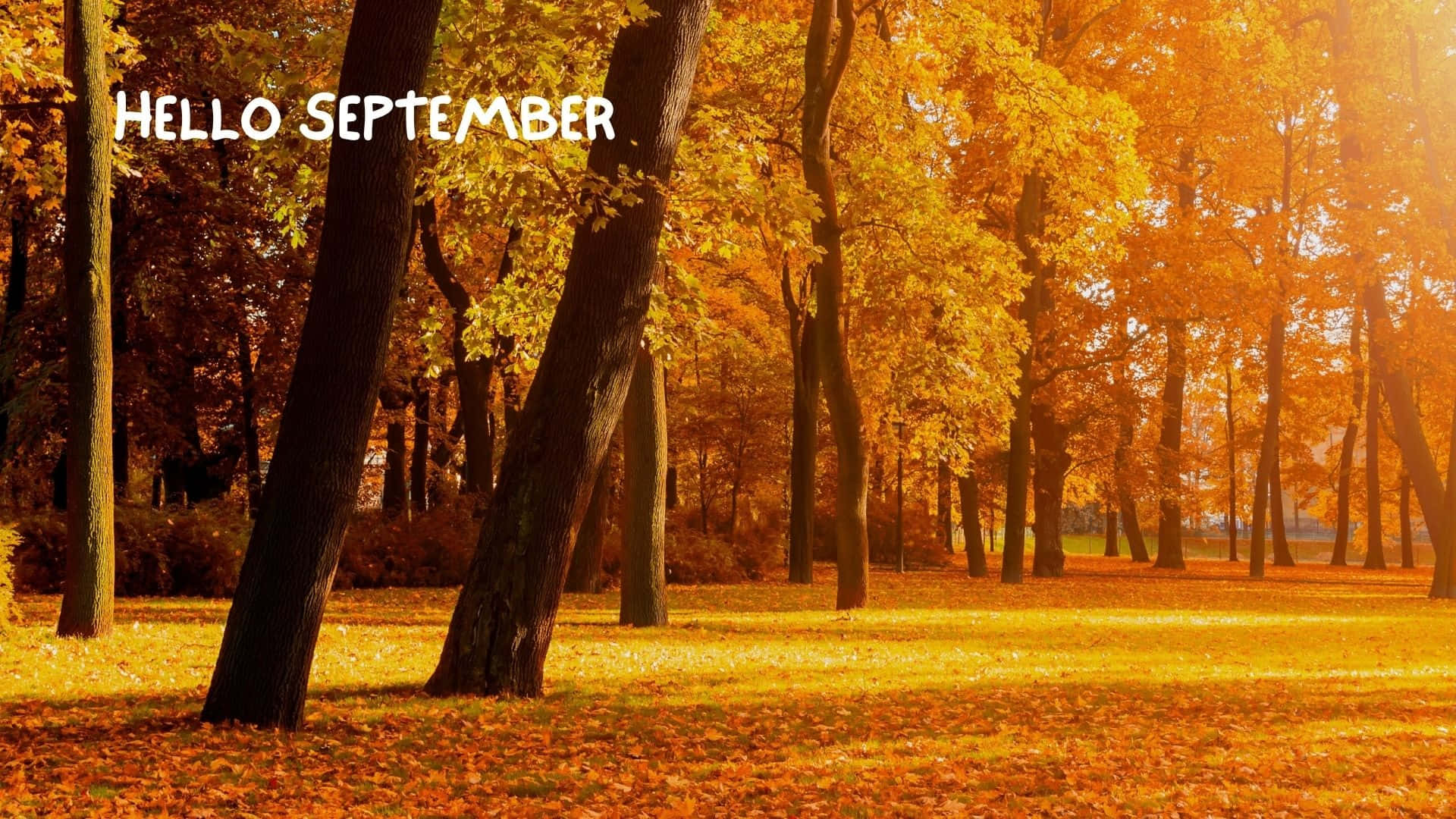 Hello September Autumn Park Scene Wallpaper