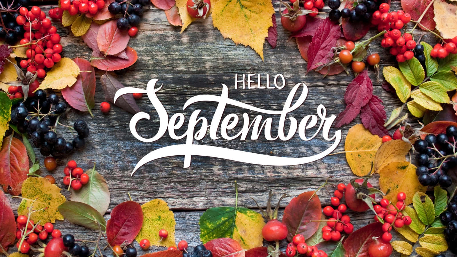 Hello September Desktop Background Wallpaper