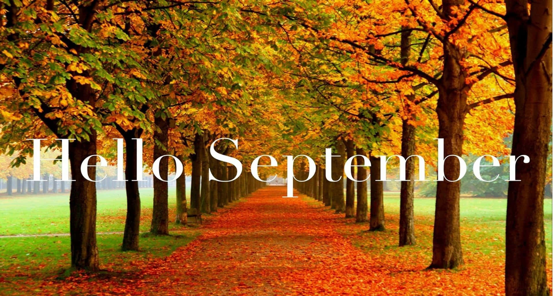 Hello_ September_ Fall_ Aesthetic Wallpaper
