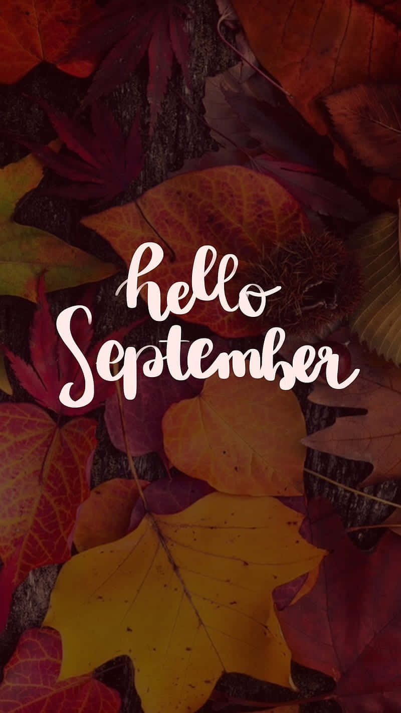 Hello September Fall Leaves Aesthetic Wallpaper