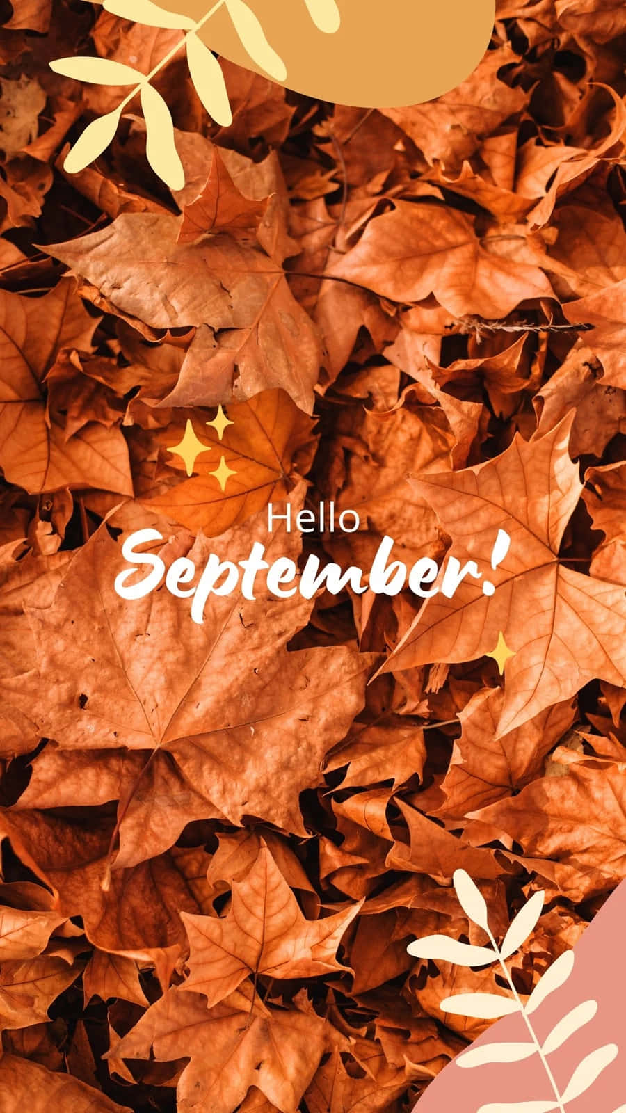 Hello September Fall Leaves Aesthetic Wallpaper