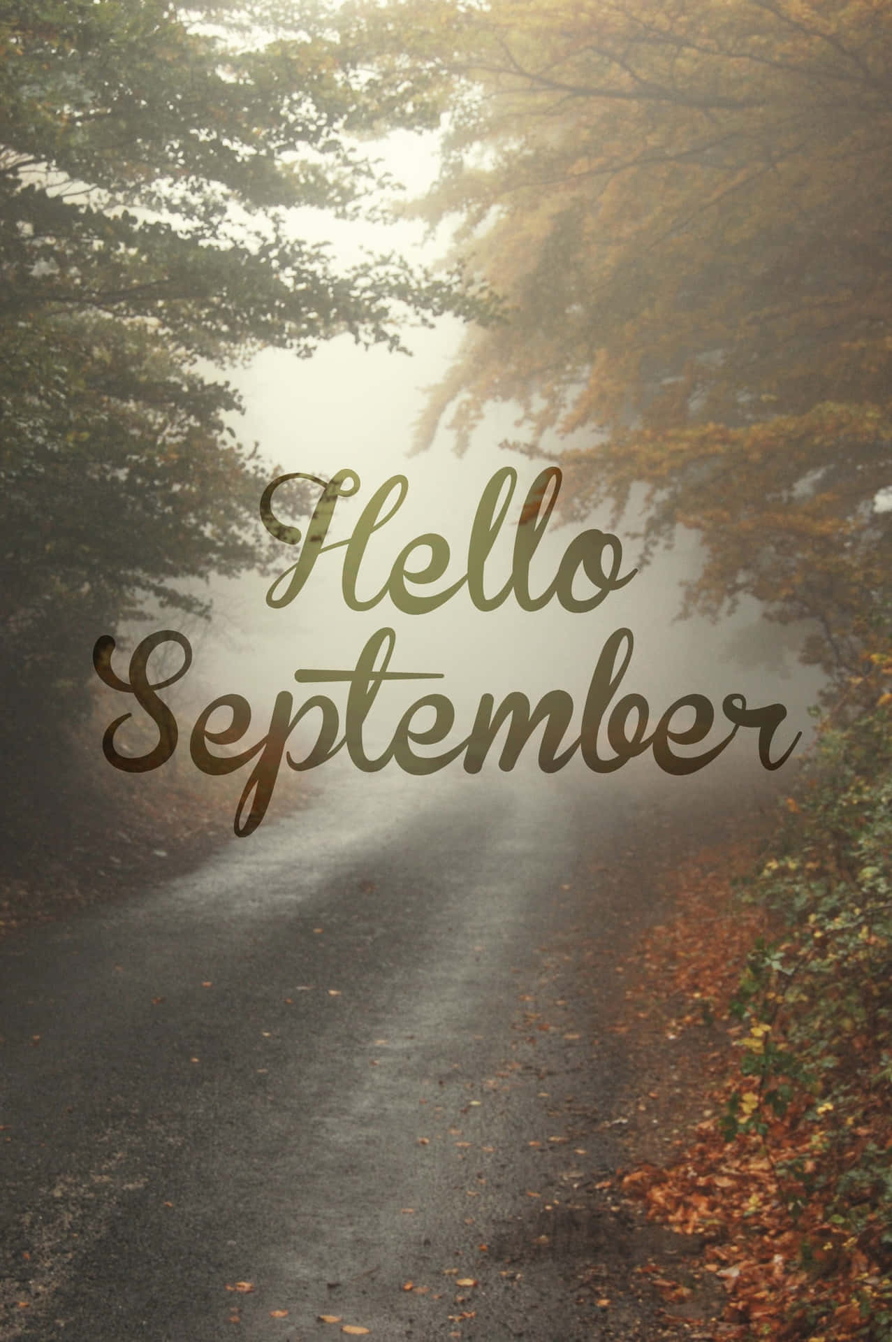 Foggy Road With Hello September Greeting Wallpaper