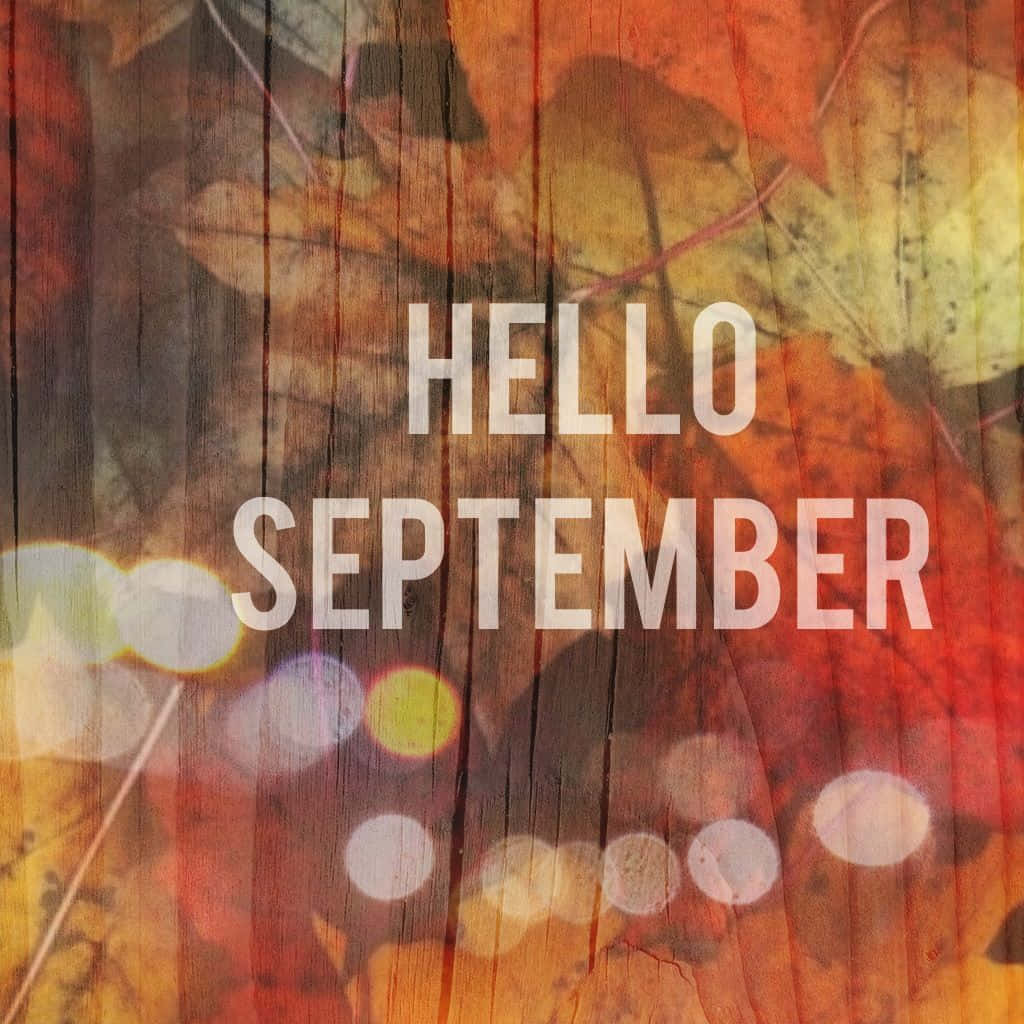 Hello September Greeting With Transparent Autumn Leaves Wallpaper
