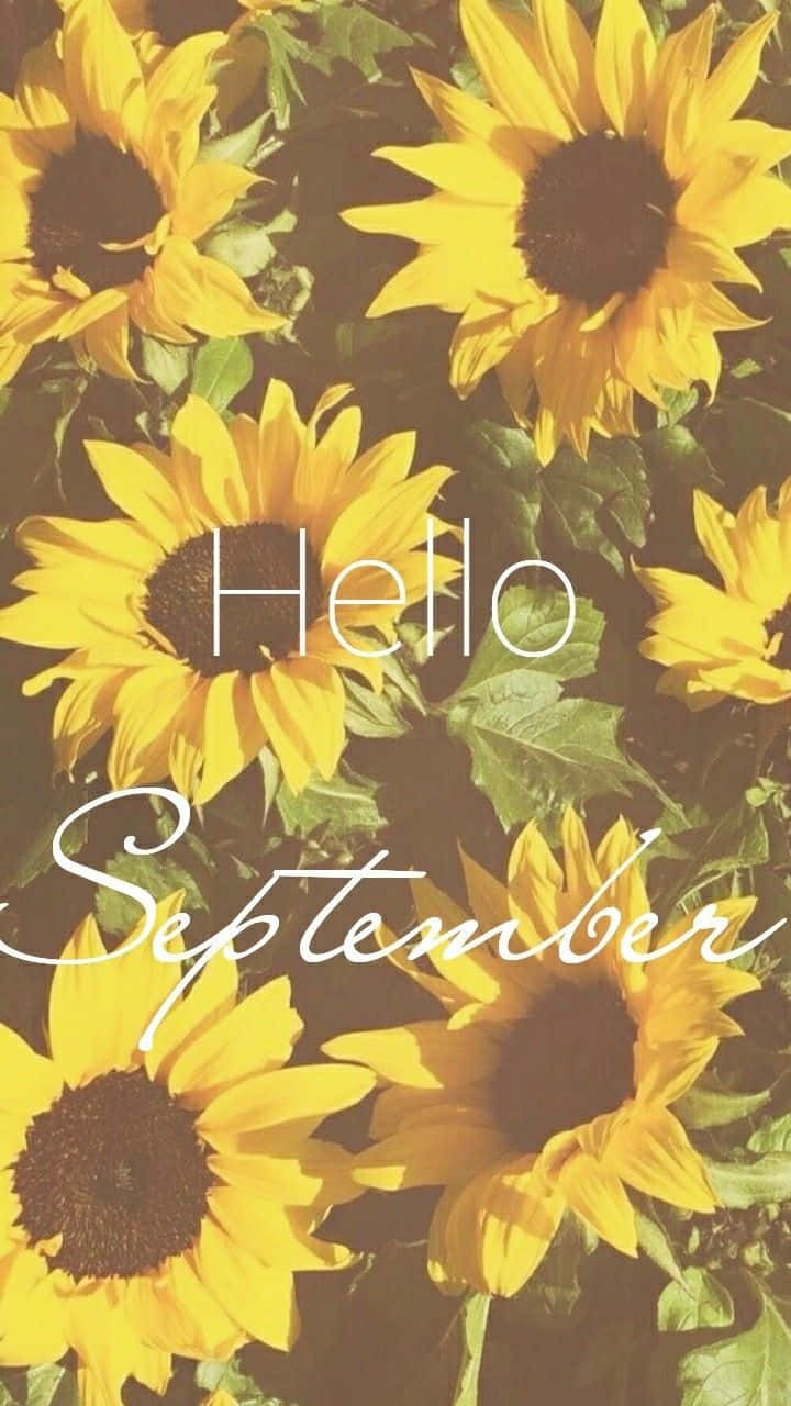 Hello September Sunflowers Aesthetic Wallpaper