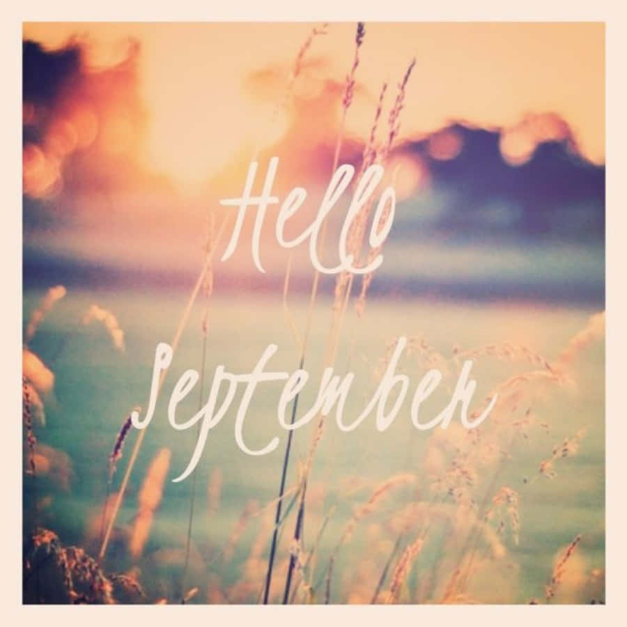 Hello September With Blurry Wheat Plant Wallpaper