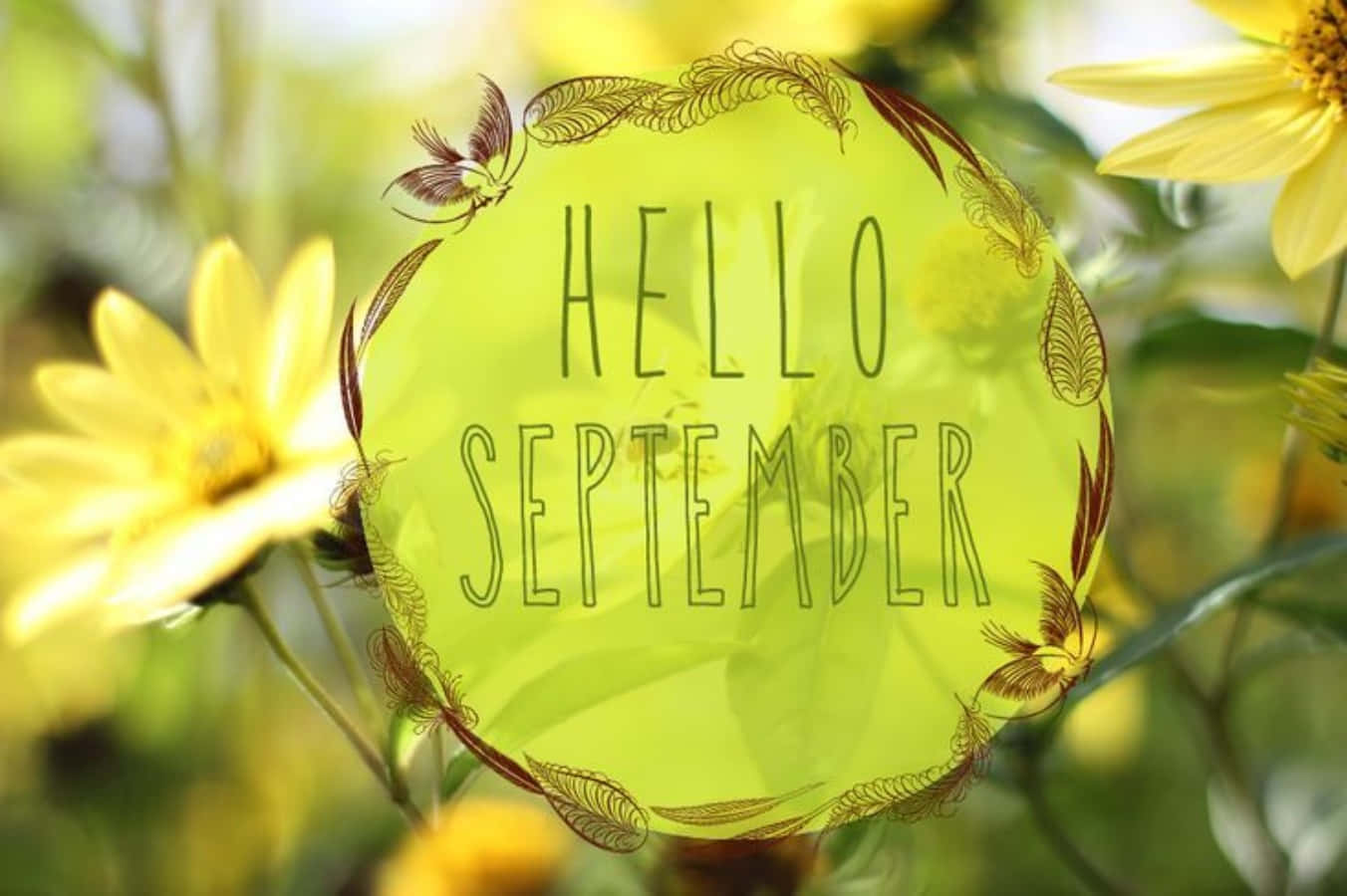 Hello September Greeting In Transparent Round Shape Wallpaper