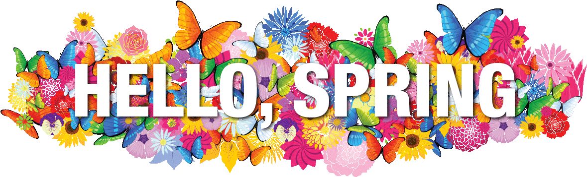 Hello Spring Colorful Floral Butterfly Design PNG