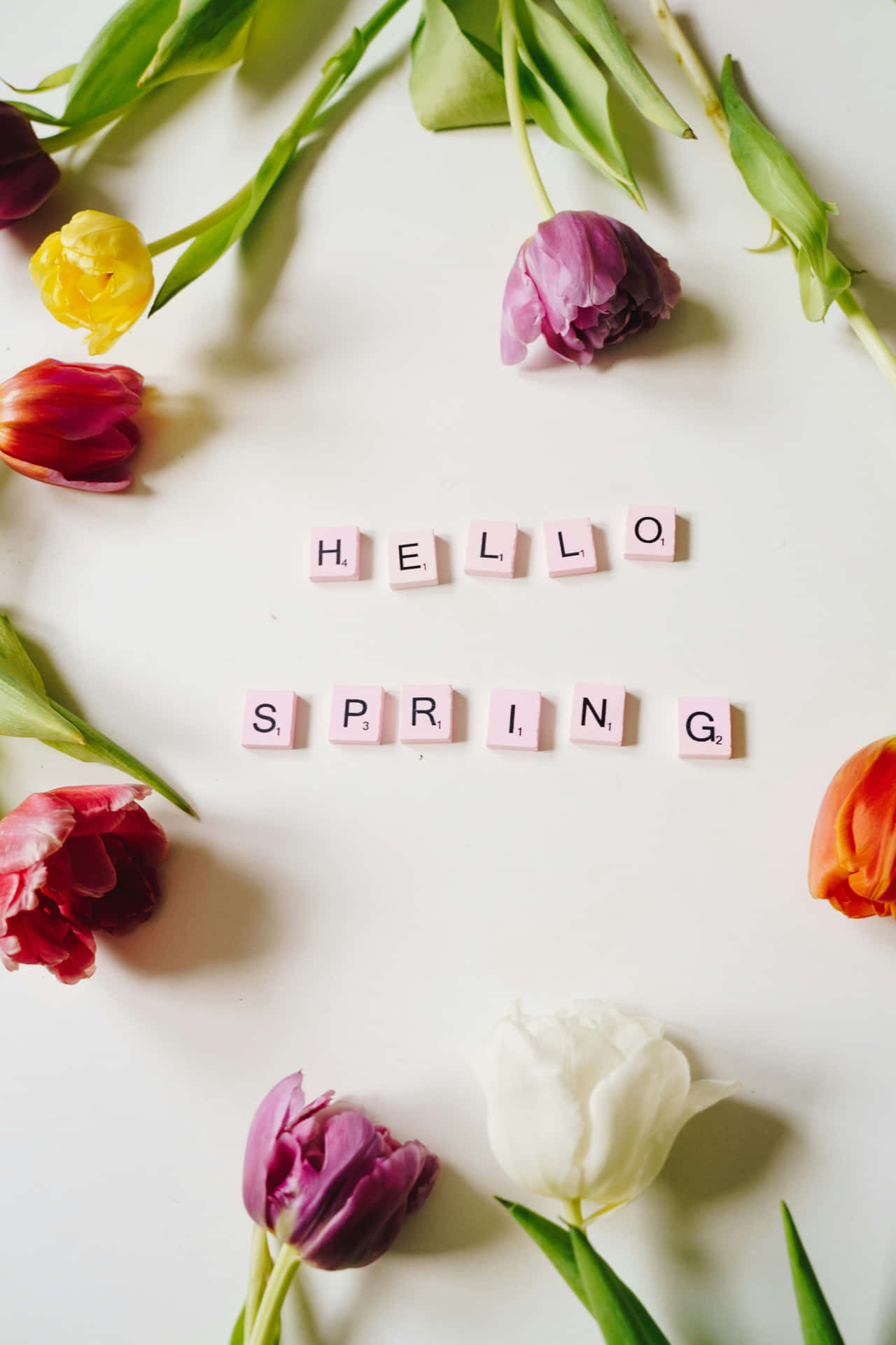 Hello Spring Floral Arrangement Wallpaper
