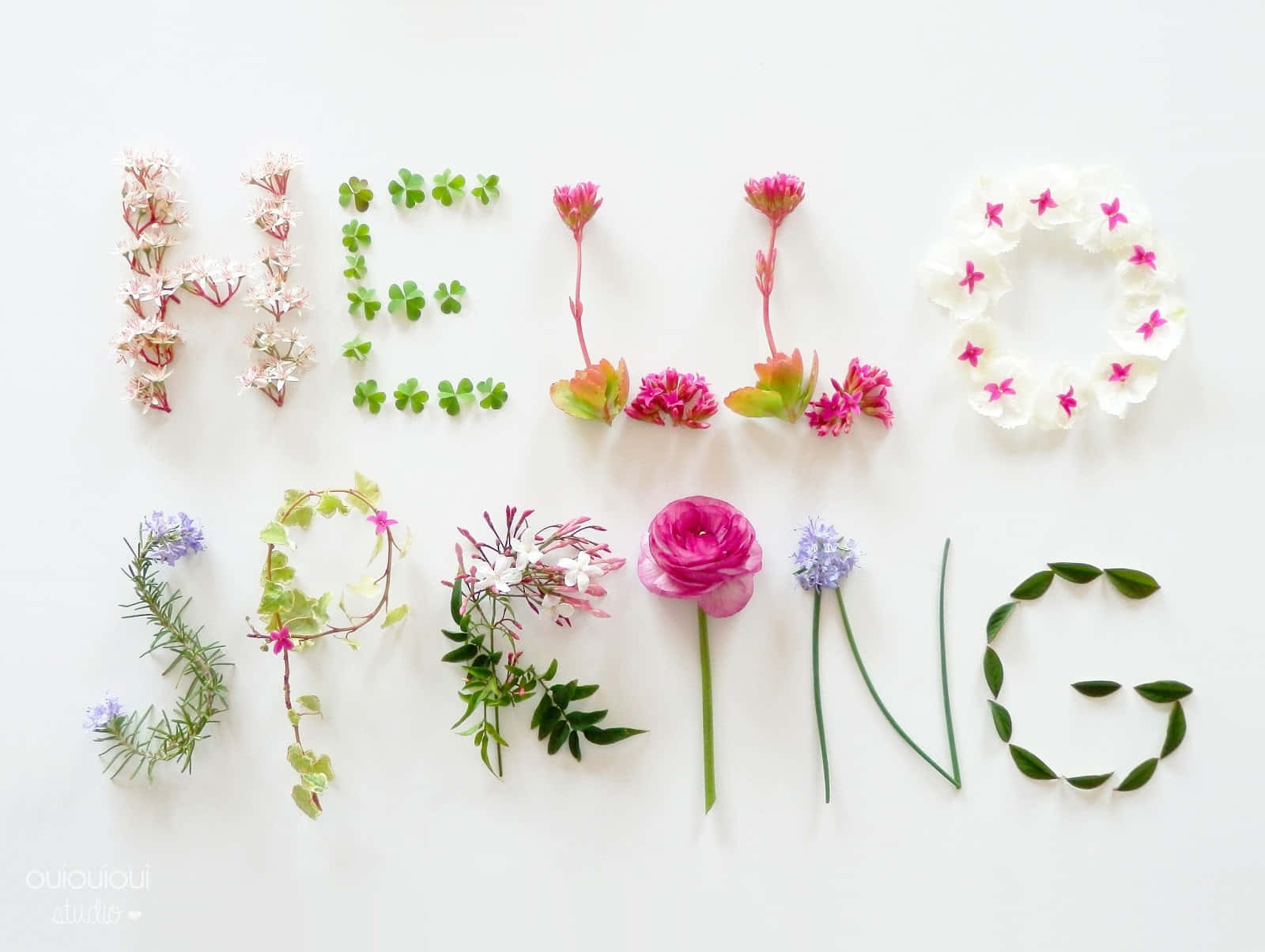 Hello Spring Floral Typography Wallpaper