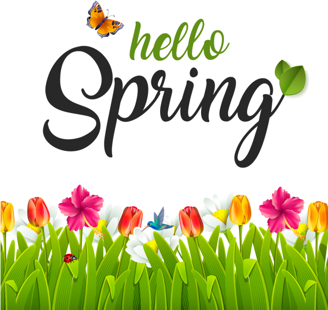 Hello Spring Greeting Card Design PNG