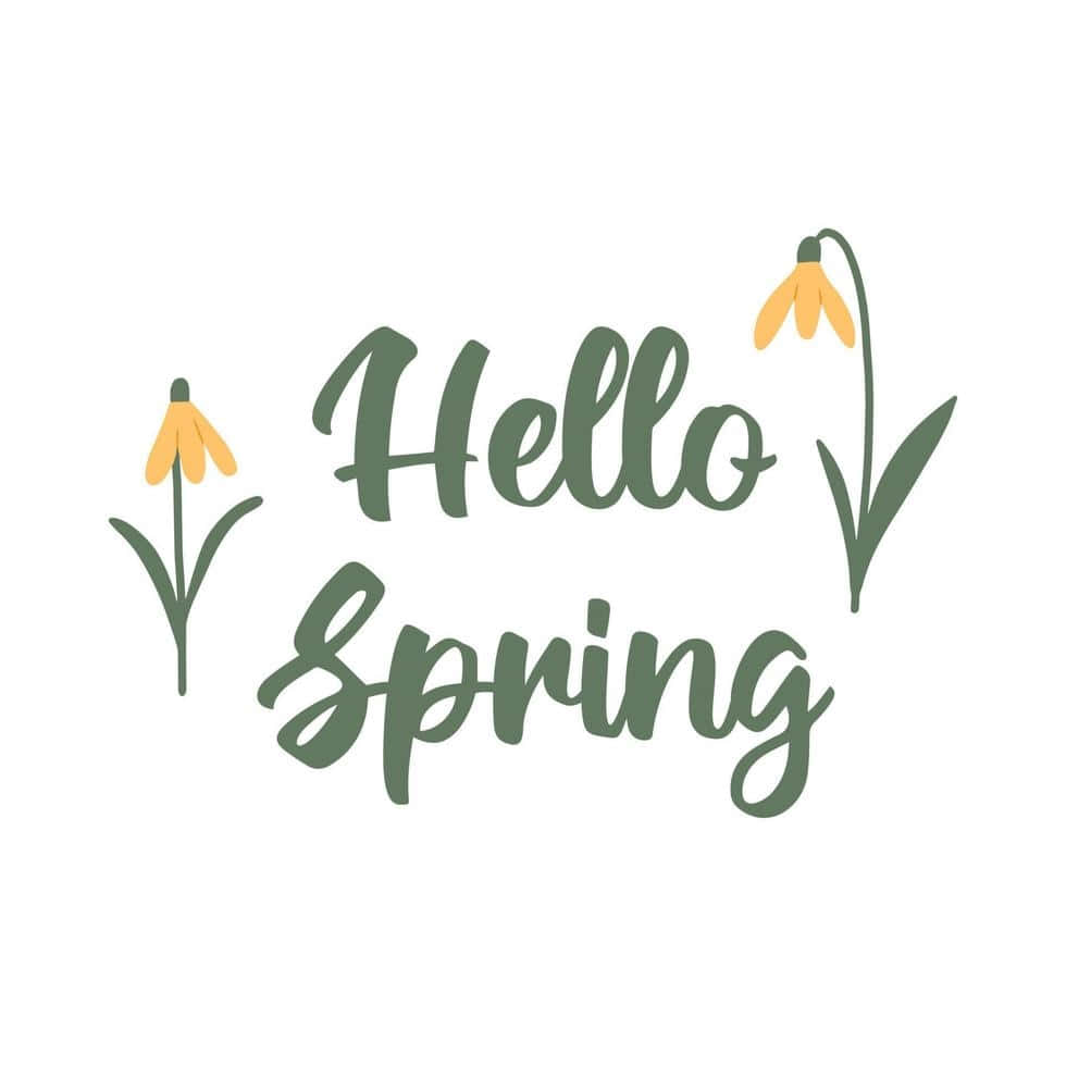 Hello Spring Seasonal Greeting Wallpaper