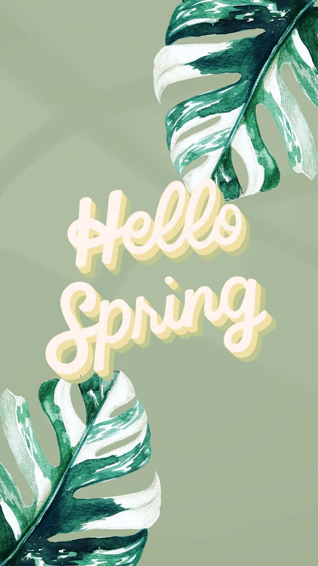 Hello Spring Tropical Leaf Design Wallpaper