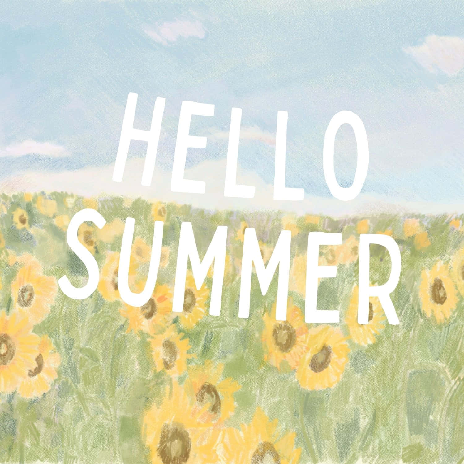 Hello Summer Sunflower Field Wallpaper