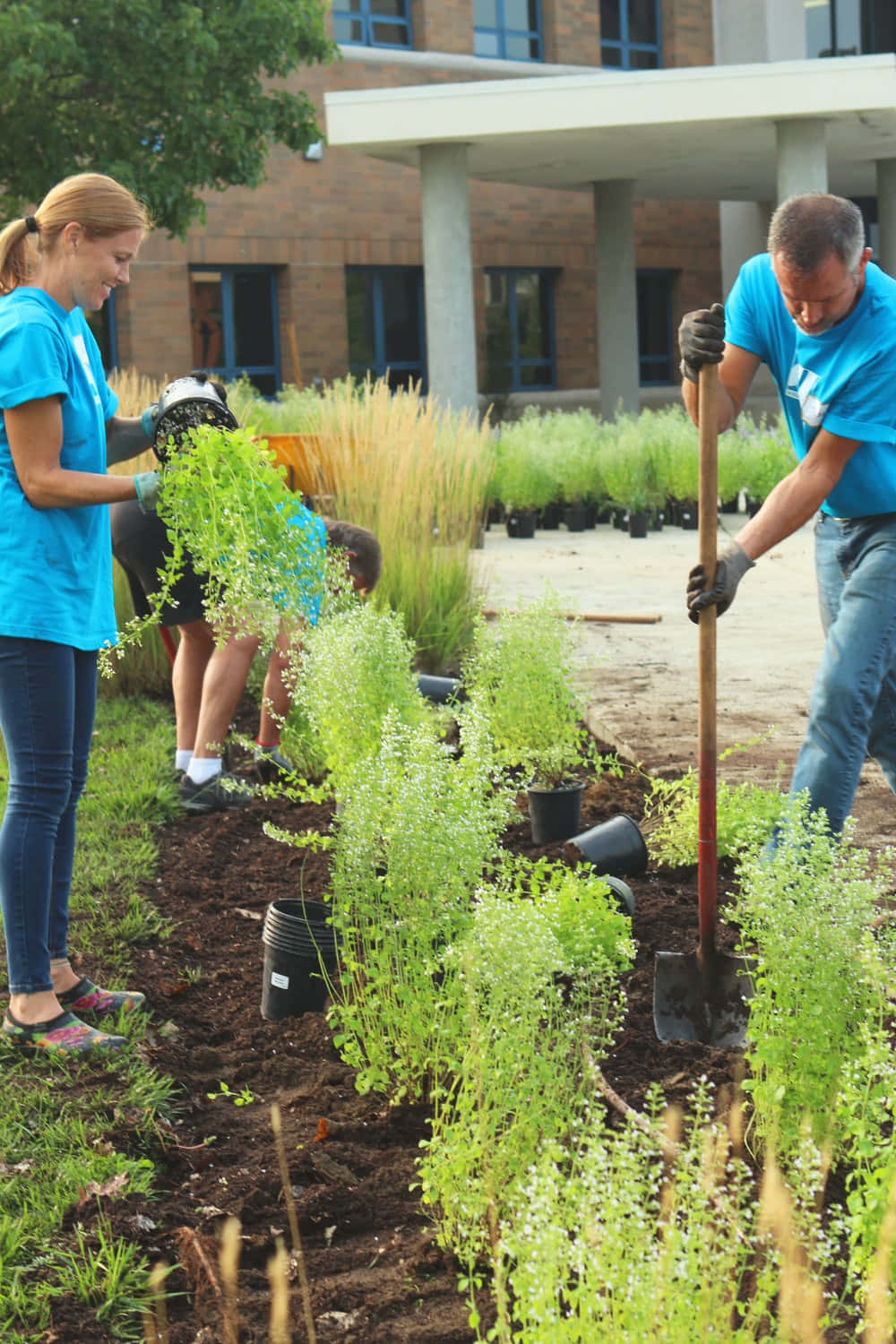A Group Of People Planting Plants In A Garden