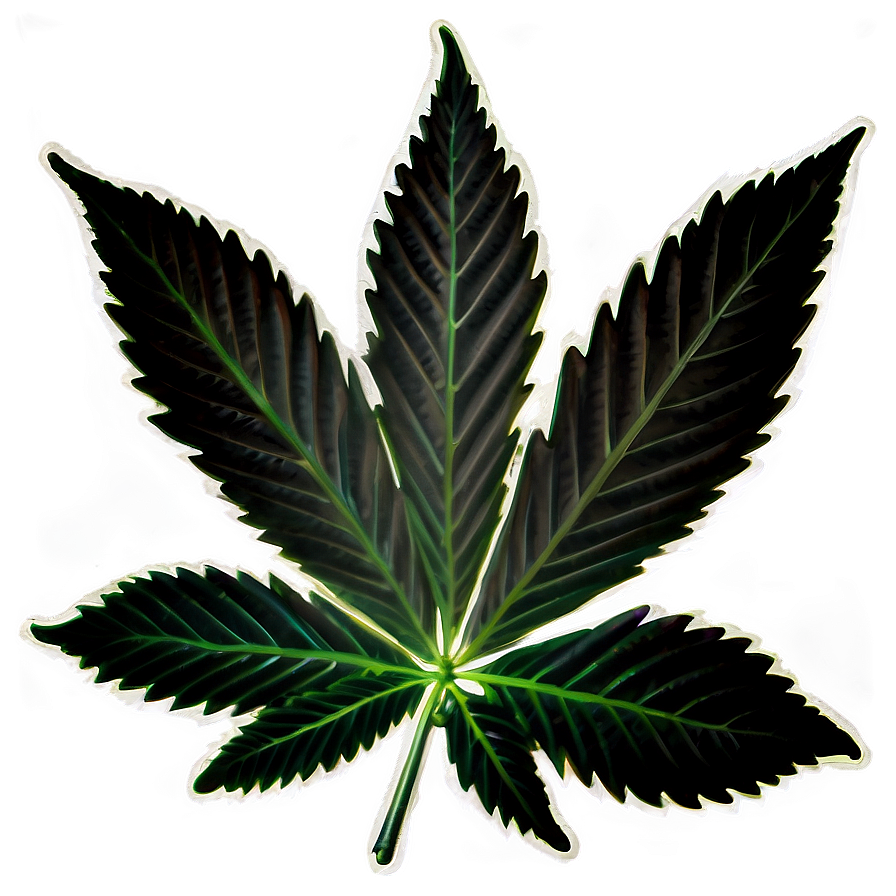 Hemp Leaf Closeup Png Iuw3 PNG