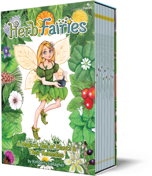 Herb Fairies Book Cover PNG