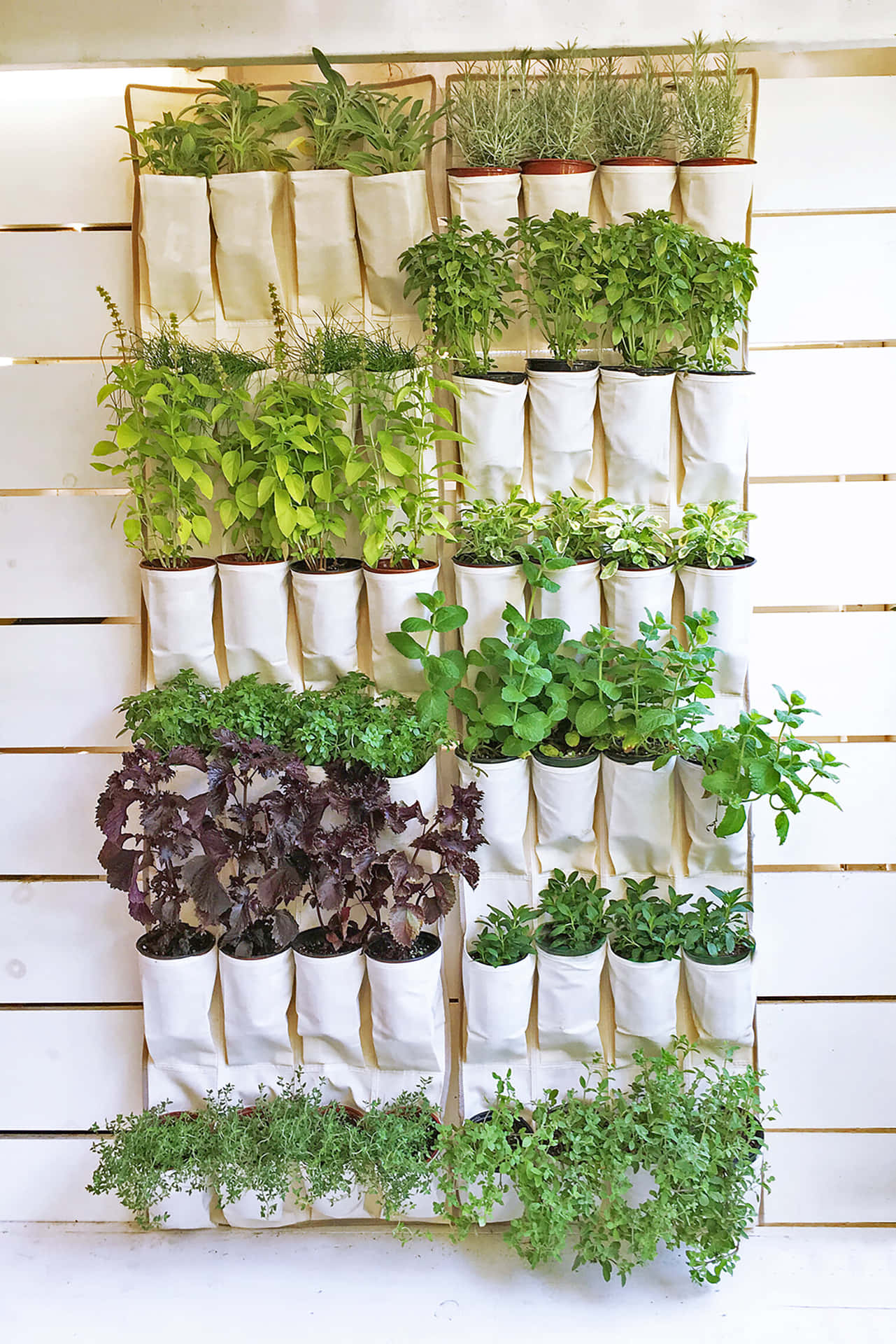A Thriving Herb Garden In Full Bloom Wallpaper