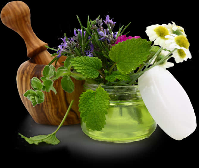 Herbal Cosmetics Ingredients PNG