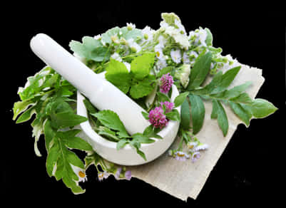 Download Herbal Medicine Preparation Mortarand Pestle | Wallpapers.com