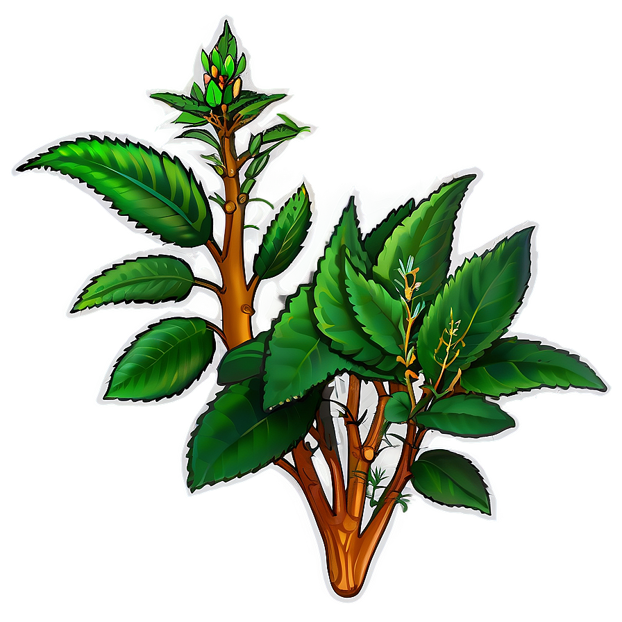 Herbal Plant Png 05032024 PNG