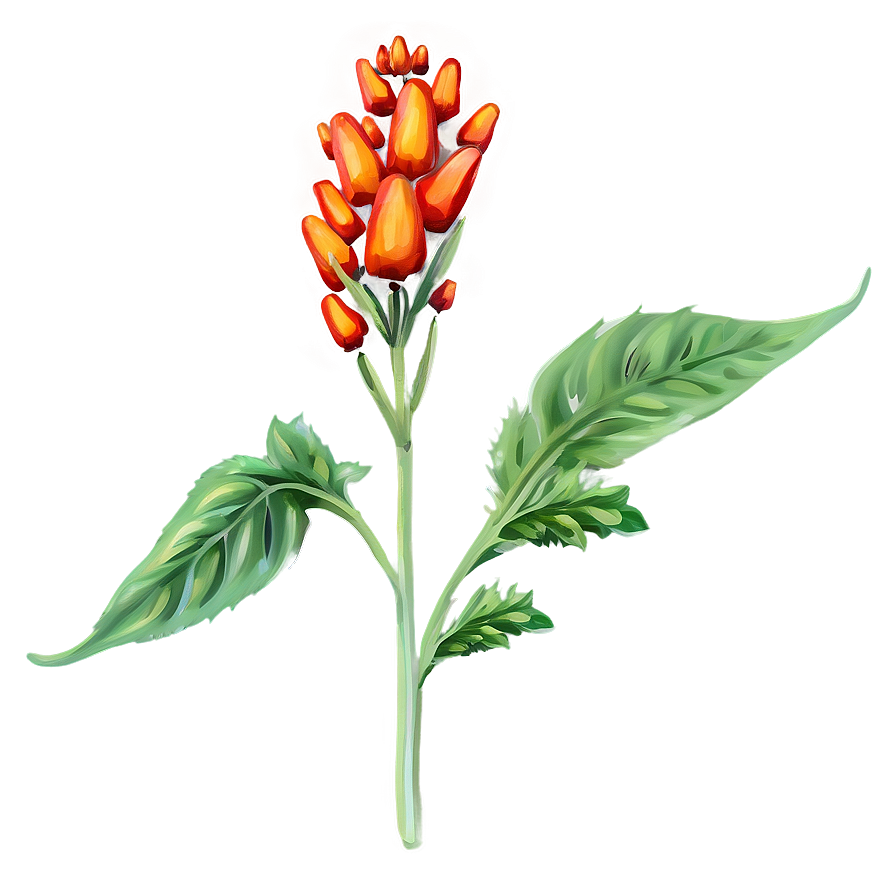 Herbal Plant Png 05032024 PNG