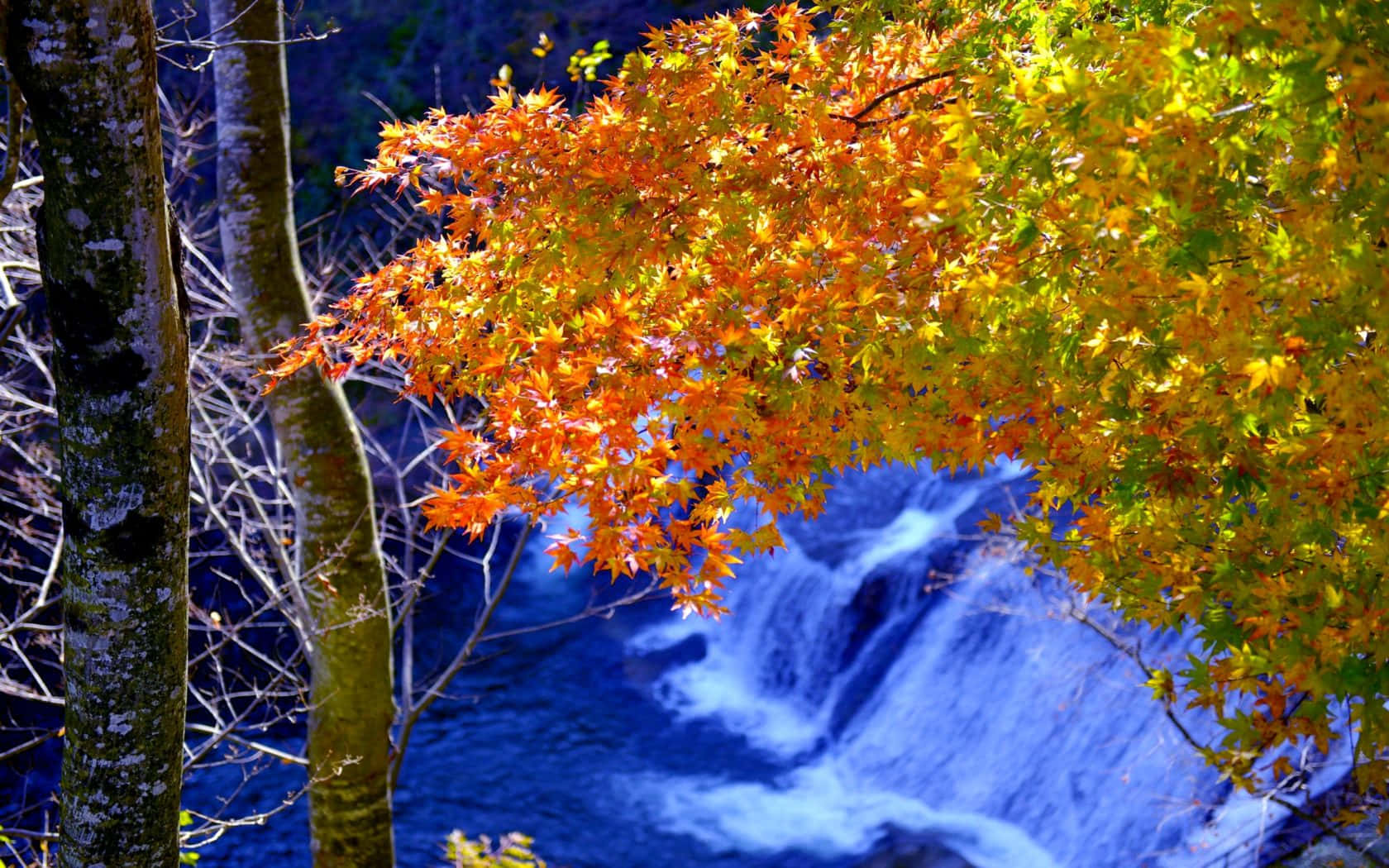 Hermosopaisaje De Otoño En Alta Resolución