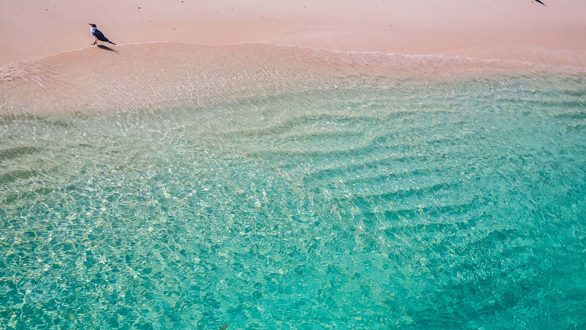 Hermosoparaíso De Playa Rosada Al Atardecer. Fondo de pantalla