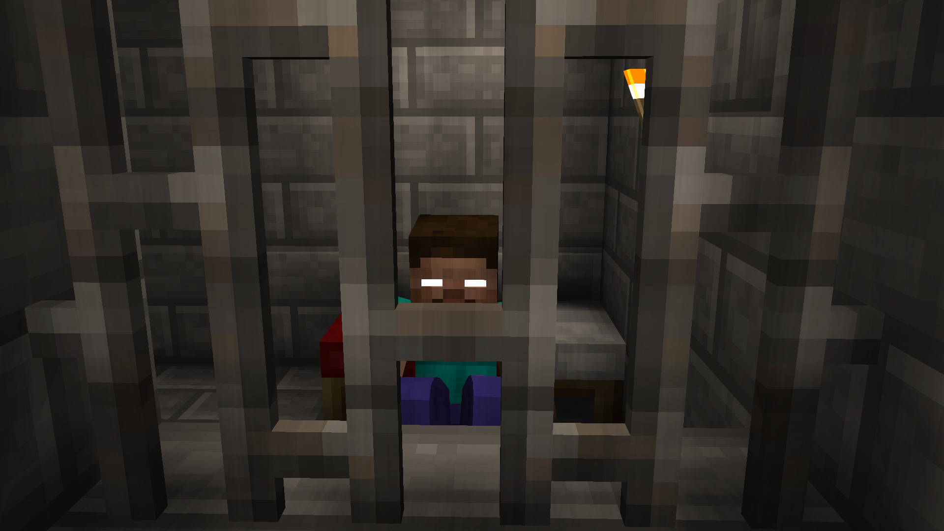 Herobrine Minecraft Jail Picture