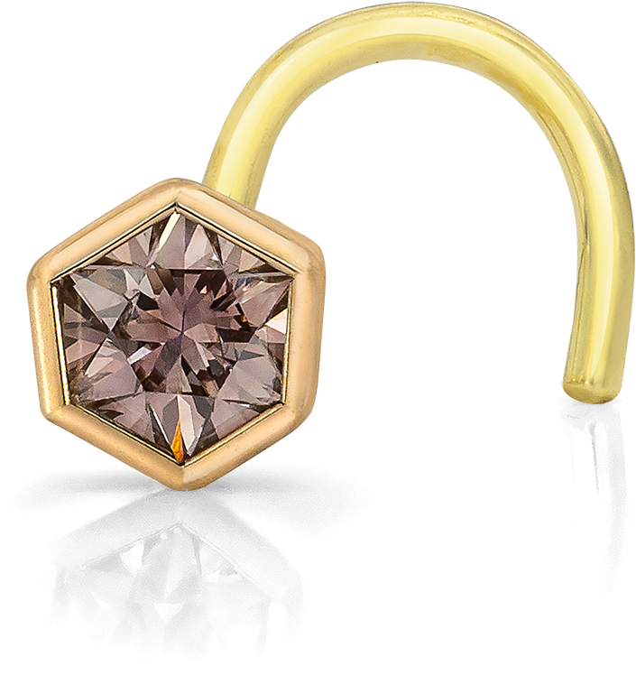 Hexagonal Gemstone Nose Ring PNG