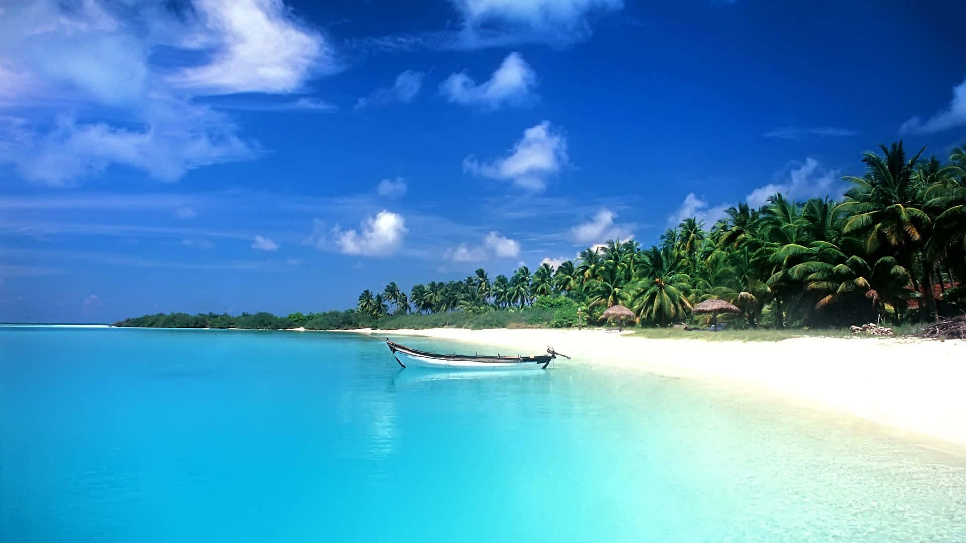 Enjoy the beauty of a serene beach paradise Wallpaper