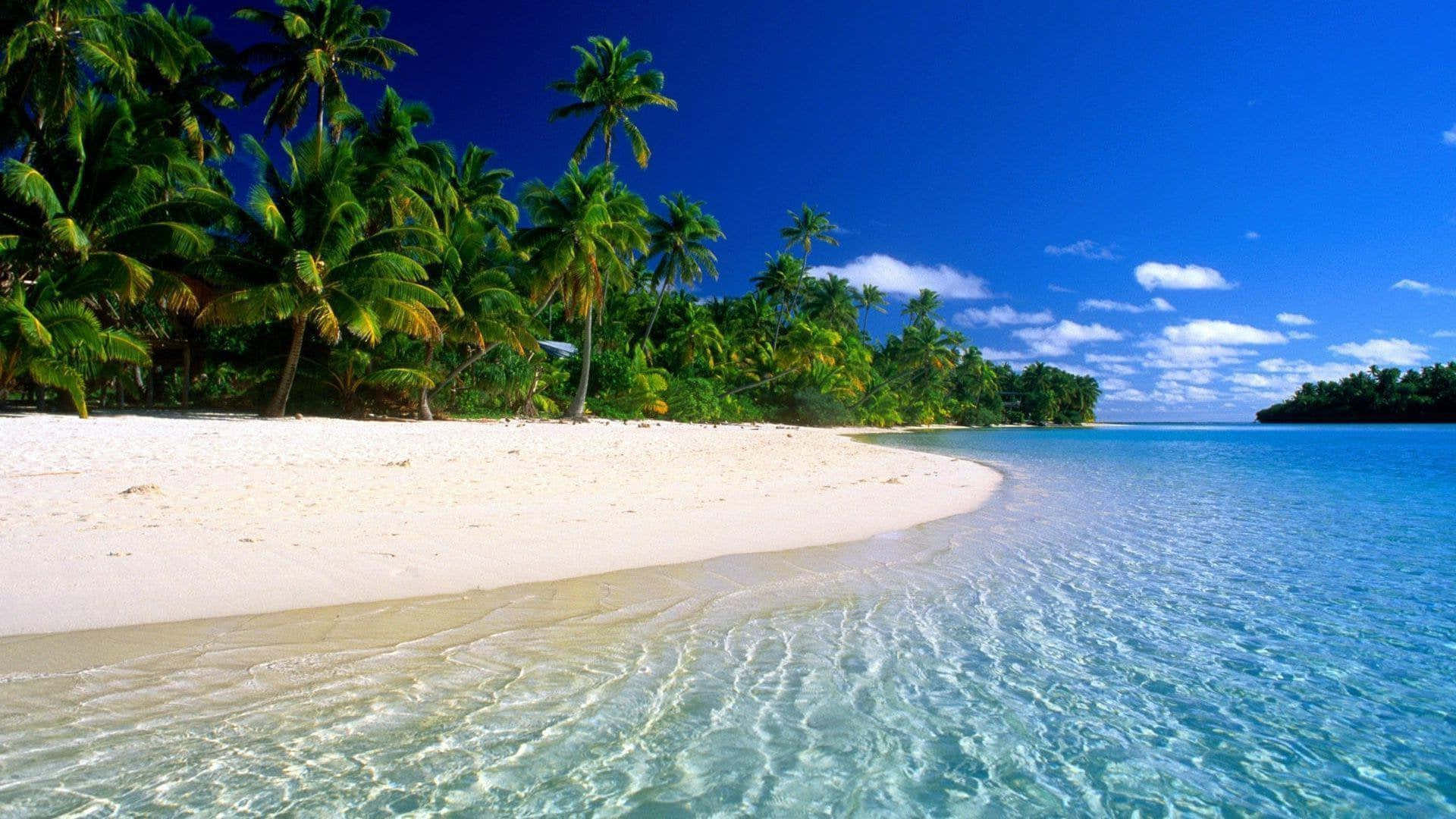 A Beach With Palm Trees And Clear Water Wallpaper