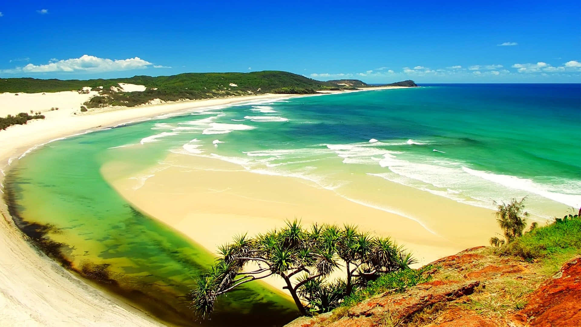 En strand med en grøn træ og en blå hav i baggrunden. Wallpaper