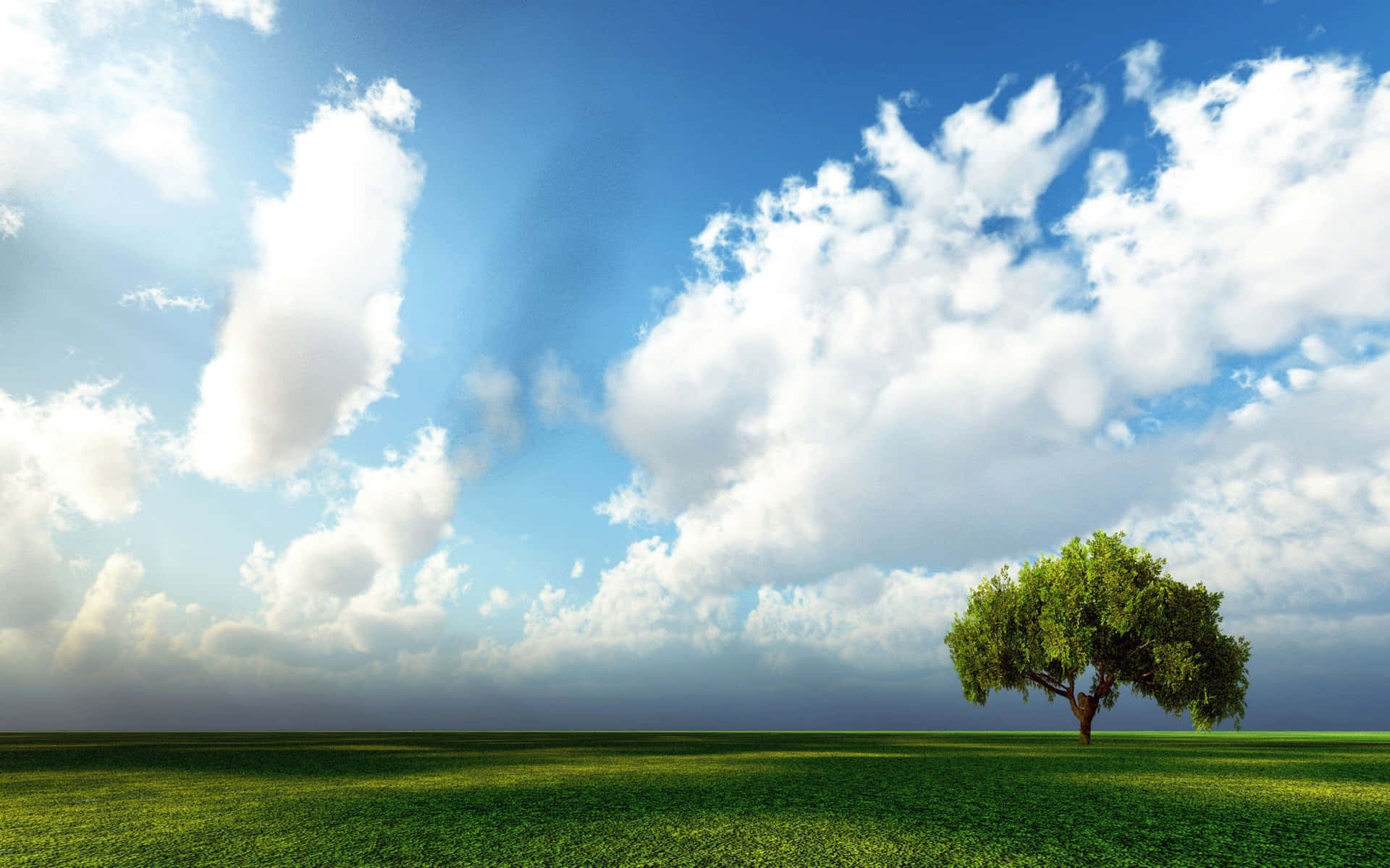 Hi Res Sky On Trees And Field Wallpaper