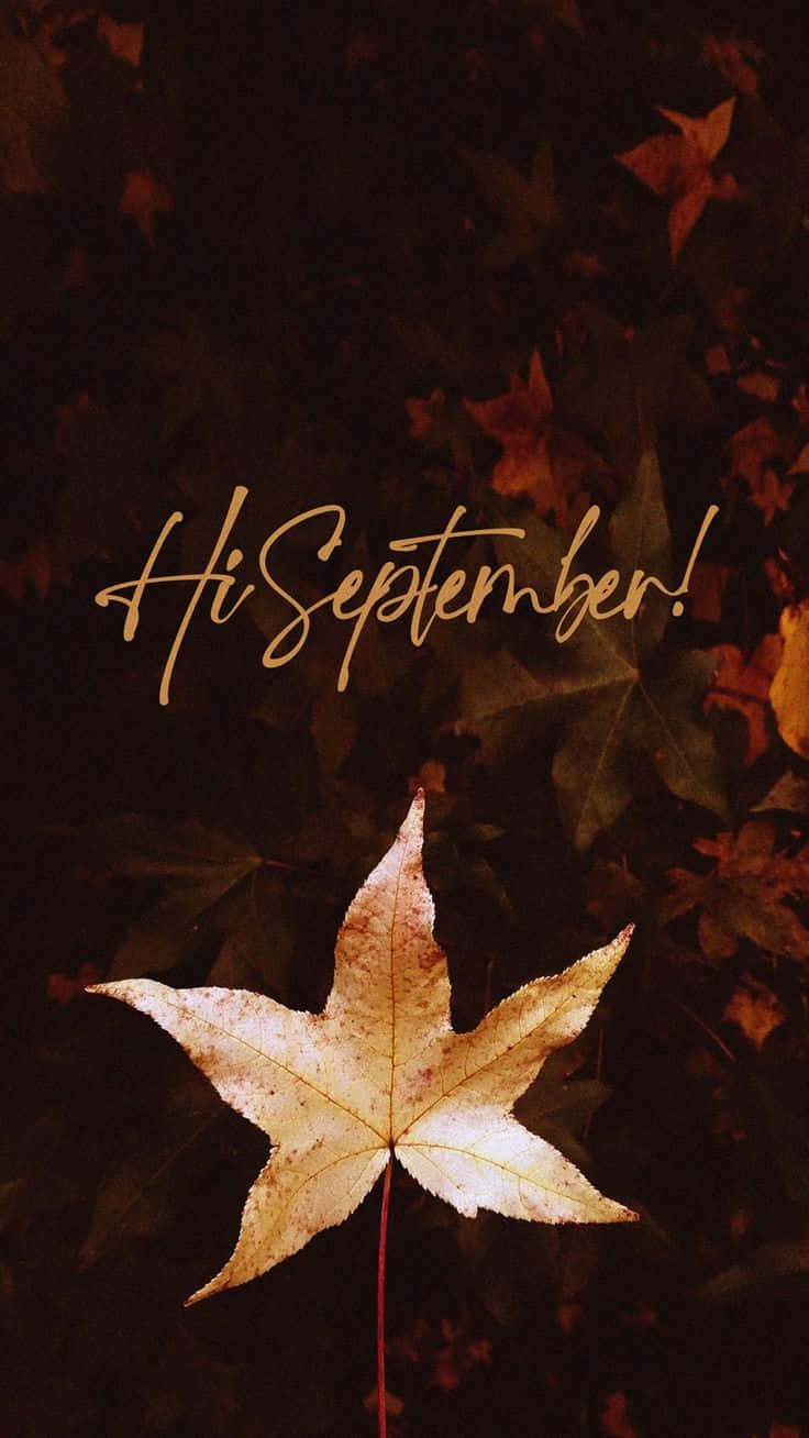 Hi September Fall Leaf Aesthetic Wallpaper
