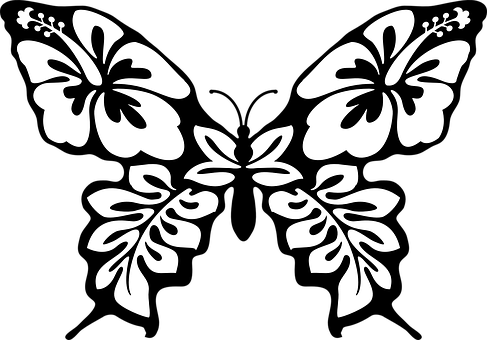 Hibiscus Butterfly Silhouette Art PNG