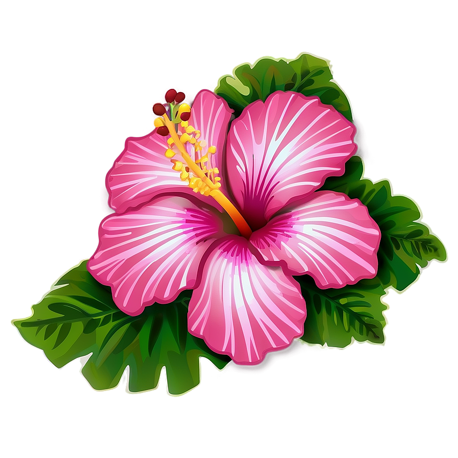 Hibiscus Clipart Png 05232024 PNG