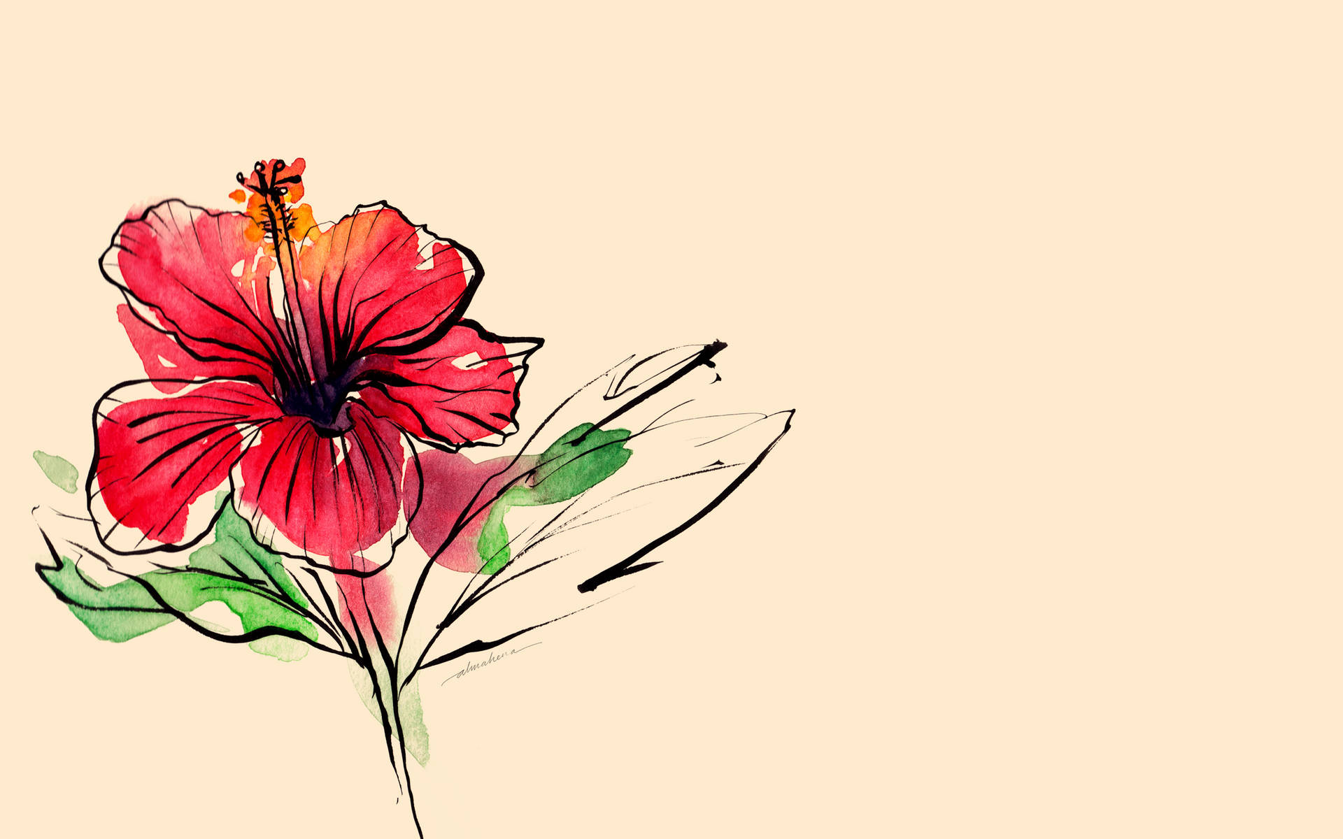 Hibiscus Digital Sketch Wallpaper