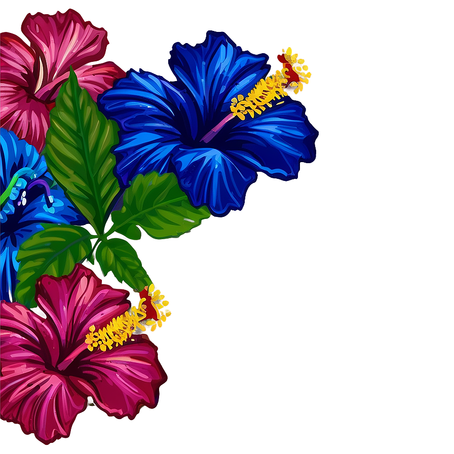 Download Hibiscus Flower Border Png 05252024