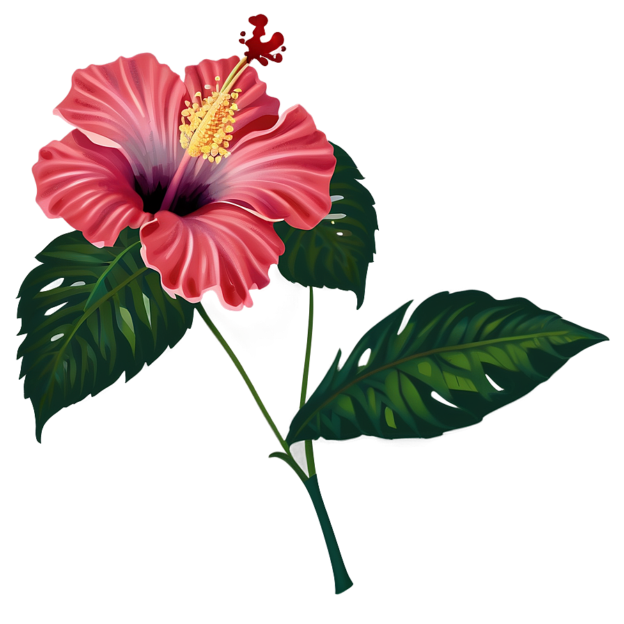 Hibiscus Flower Transparent Png Hje PNG