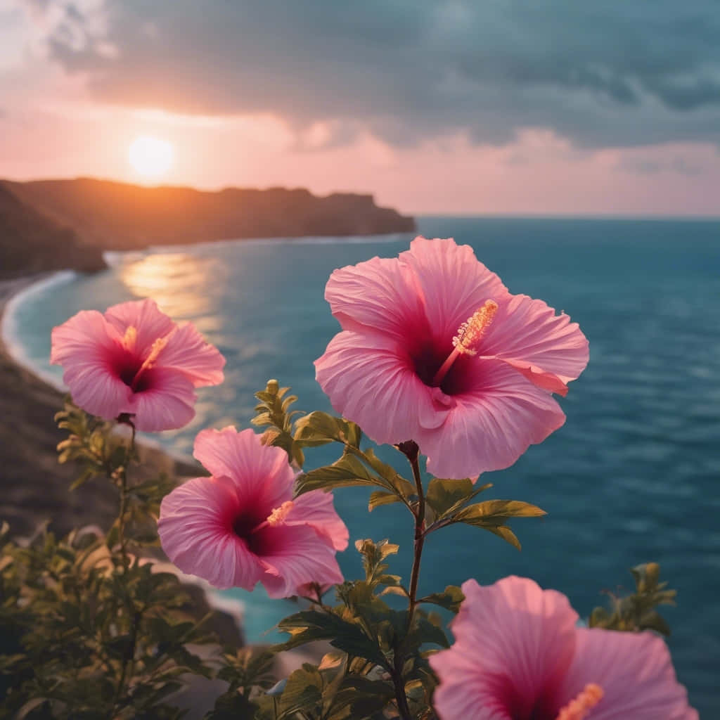 Hibiscus Flowers Coastal Sunset Wallpaper