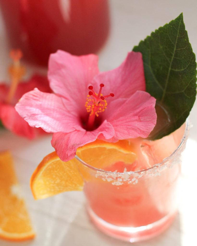 Hibiscus On Cocktail Background