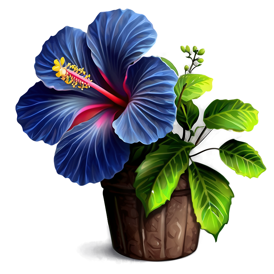 Hibiscus Plant Png Tfo PNG