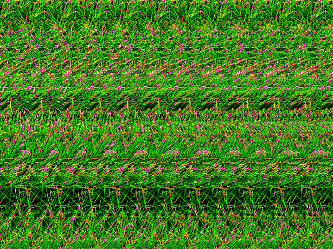 A Green Field With A Lot Of Grass