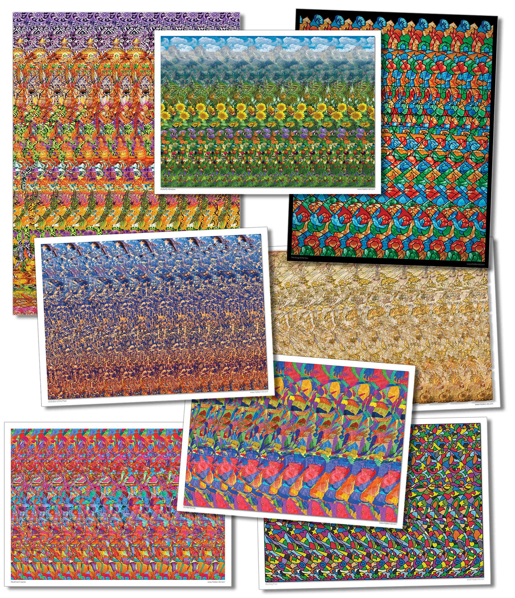 A Set Of Colorful Pictures With A Pattern