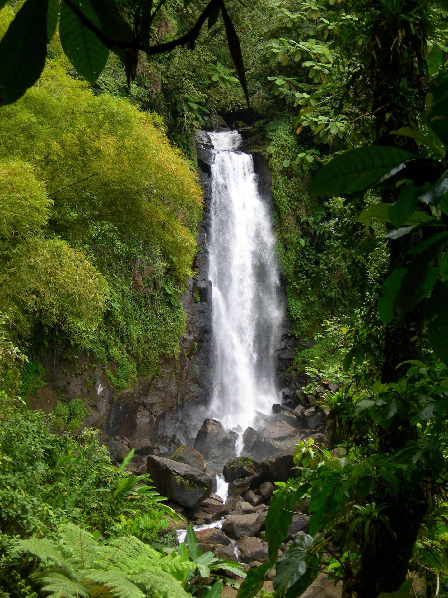 Hidden Rocky Waterfalls In Dominica Wallpaper