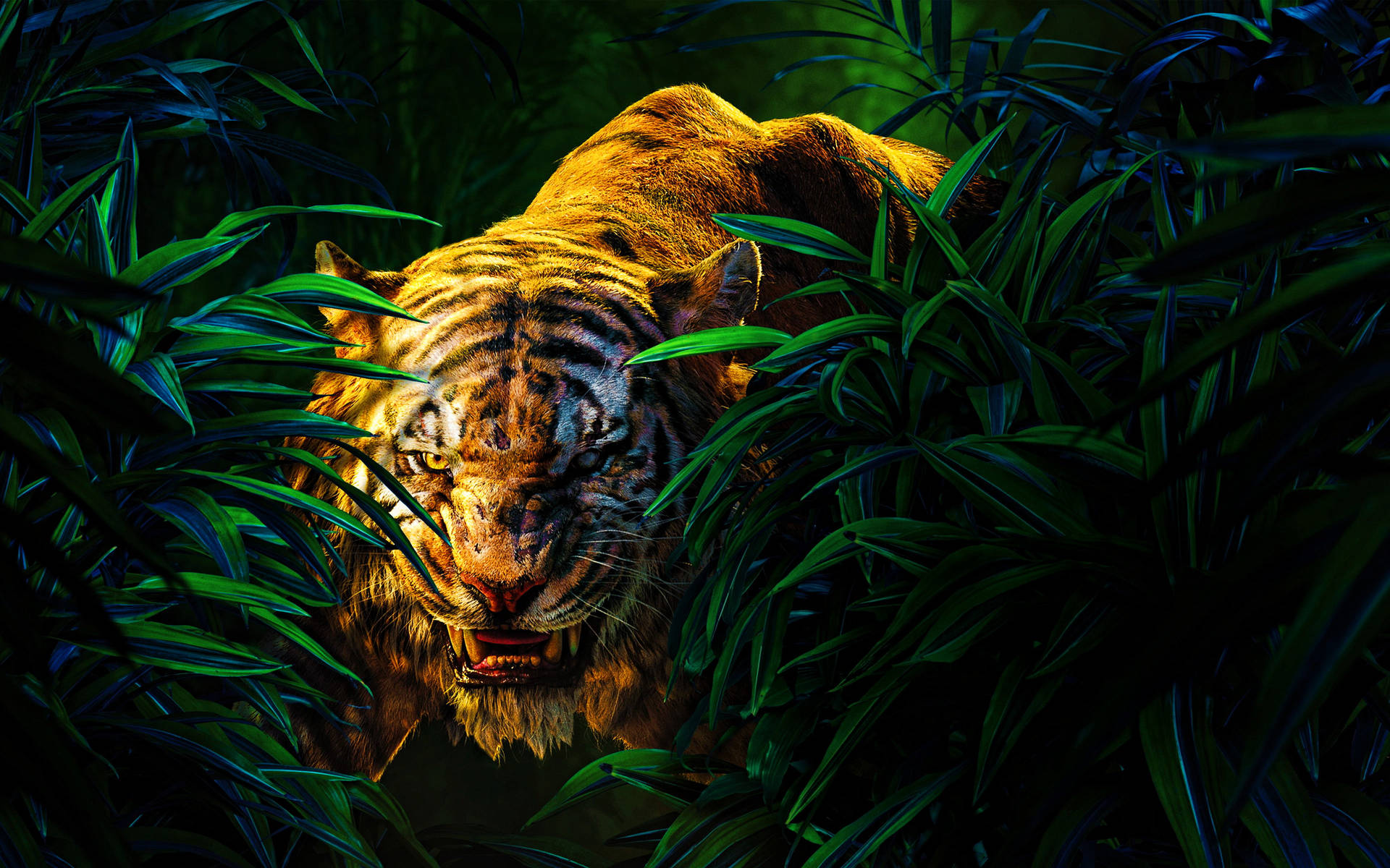 Hiding Angry Tiger Wallpaper