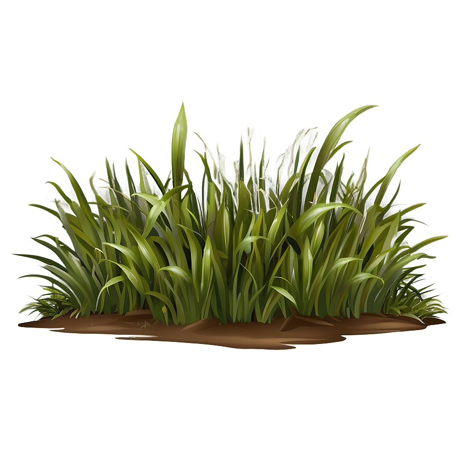 High Quality Grass Clipart Png Fvk PNG