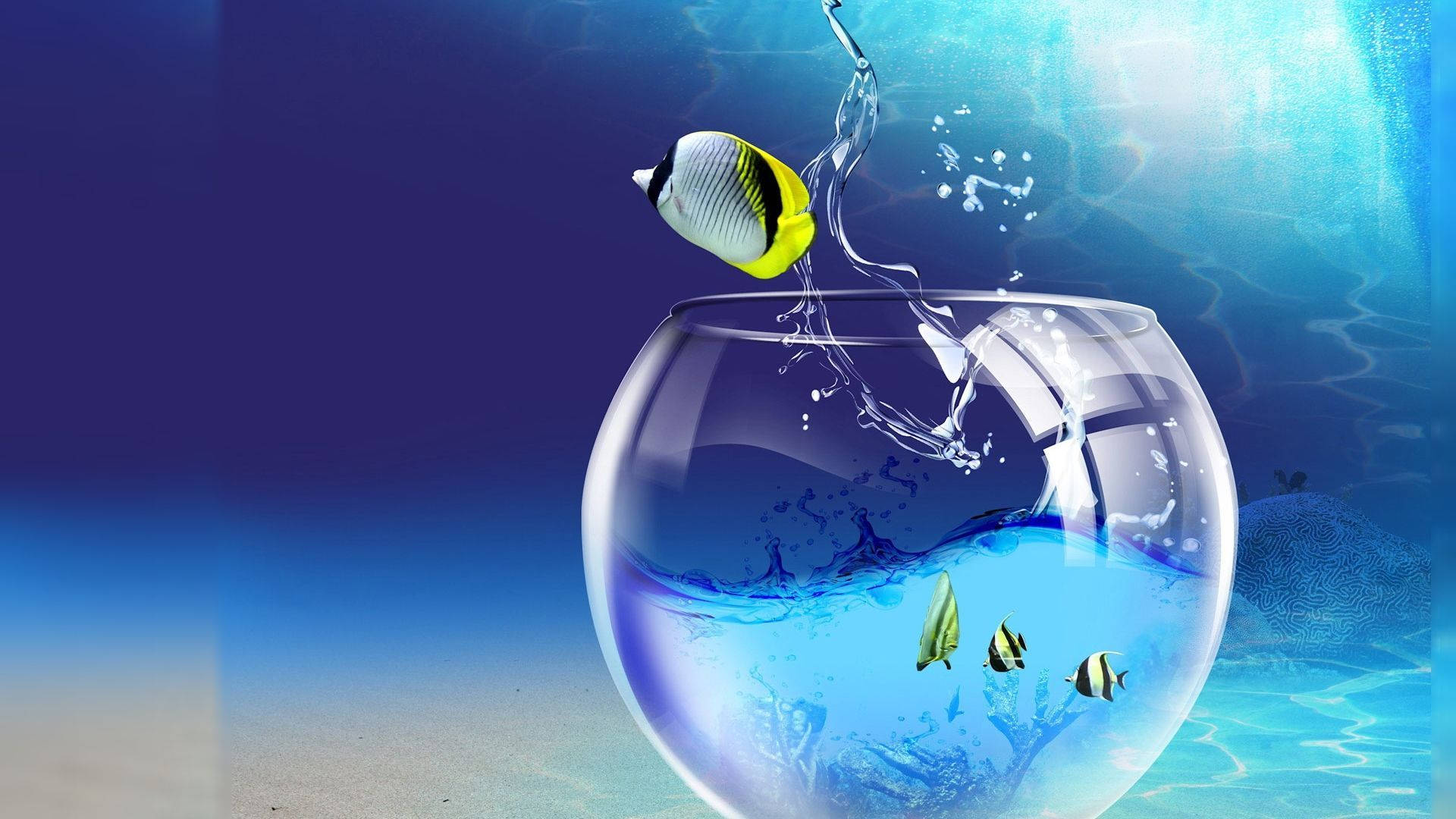 High Res Fishbowl Underwater Wallpaper