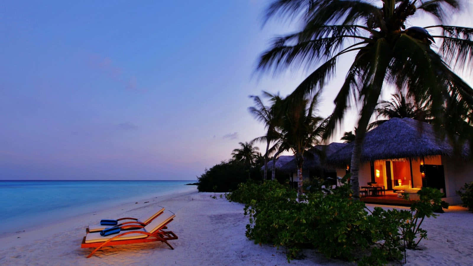 A Beach With Lounge Chairs And Palm Trees