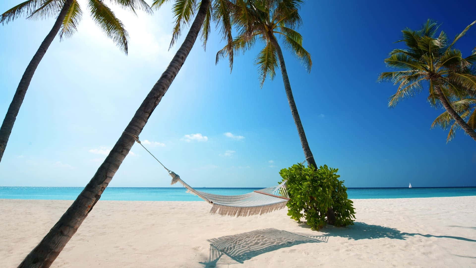 Download High Resolution Beach Background 1920 X 1080 | Wallpapers.com